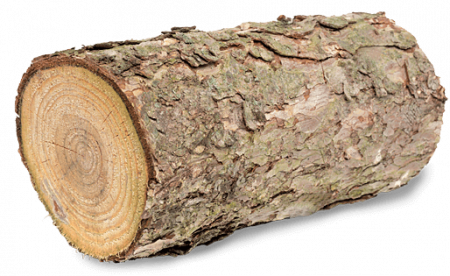 Log