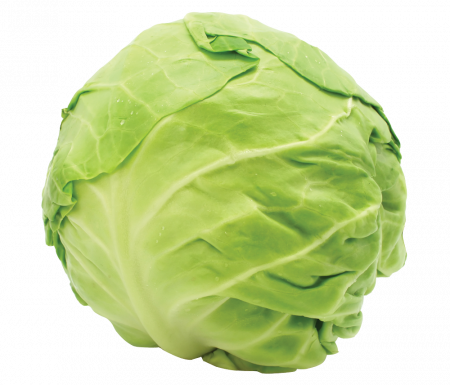 Cabbage